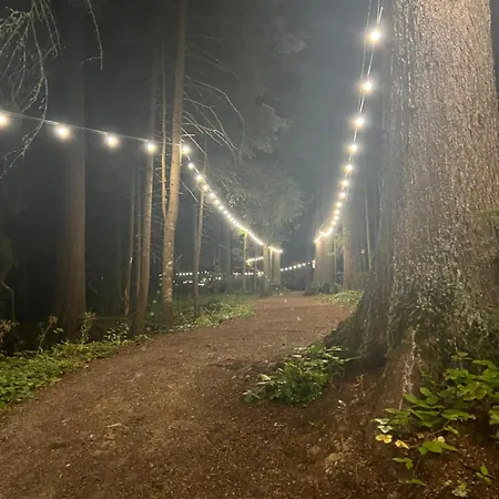 Apartment Gardens B15