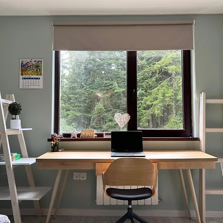 Gardens B15 * Borowez