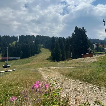 Apartment Gardens B15 *