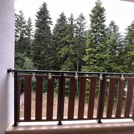 Appartement Gardens B15