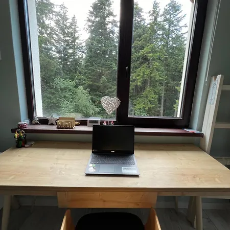 Gardens B15 * Borowez