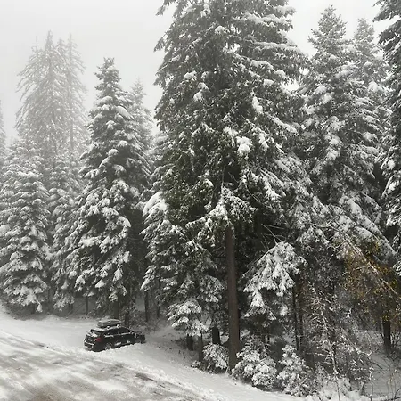 Apartment Gardens B15