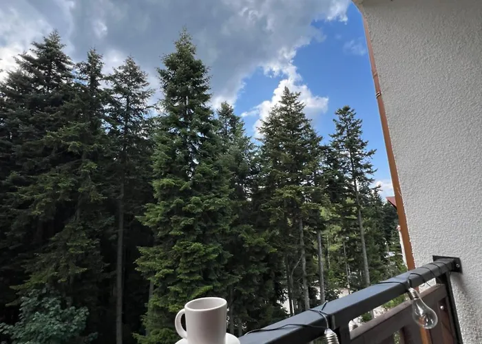 Appartement Gardens B15 Borovets