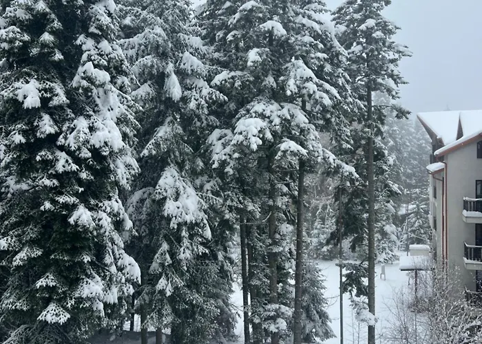 Gardens B15 Appartement Borovets