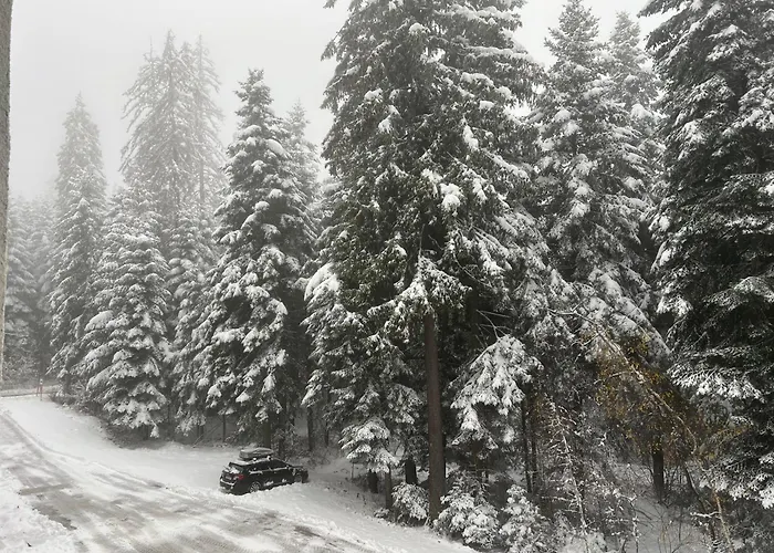 Appartement Gardens B15